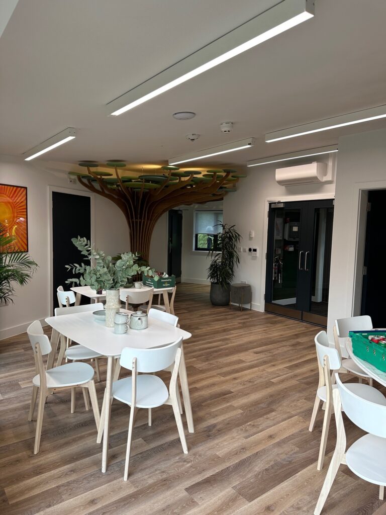 Unique Window Systems